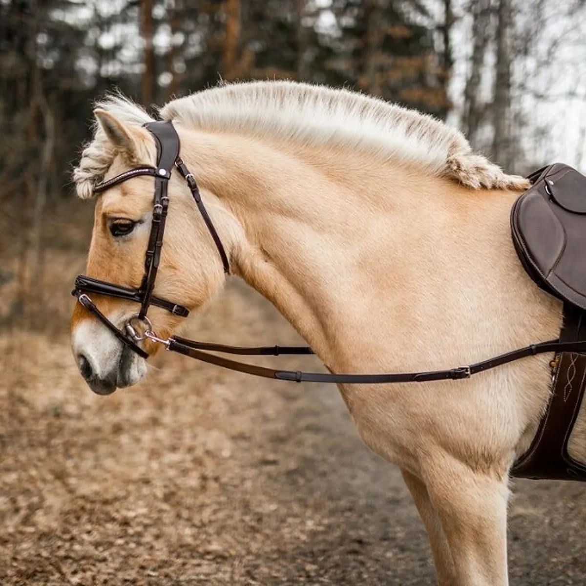 Skoies Innspenningstøyler m/strikk< Longering