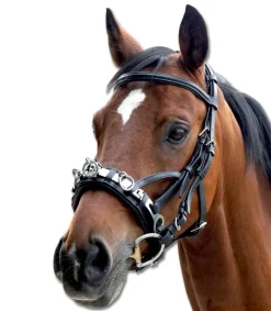 Waldhausen Kapsun i lær< Longering