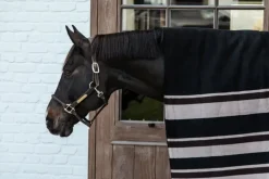 Kentucky Heavy Fleece Square< Ridedekken