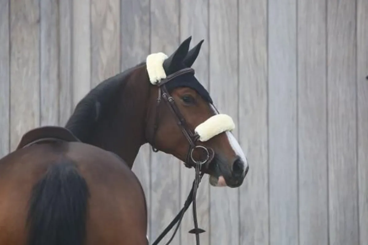 Kentucky lammeskinn beskytter- Flere Farger< Tilbehør Til Hodelag