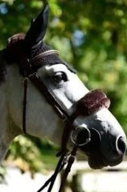 Kentucky lammeskinn beskytter- Flere Farger< Tilbehør Til Hodelag