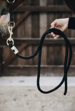 Kentucky Leietau< Leietau