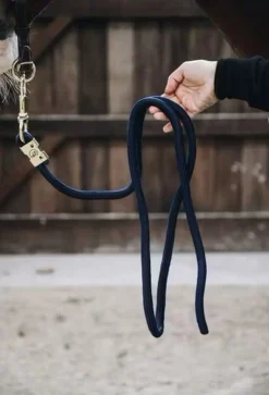 Kentucky Leietau< Leietau