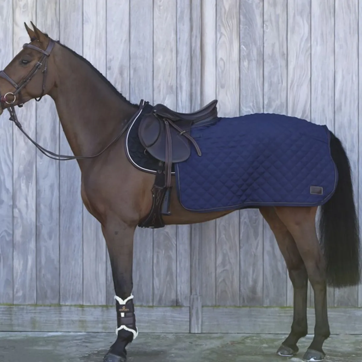 Kentucky Quarter Rug 160gr< Ridedekken