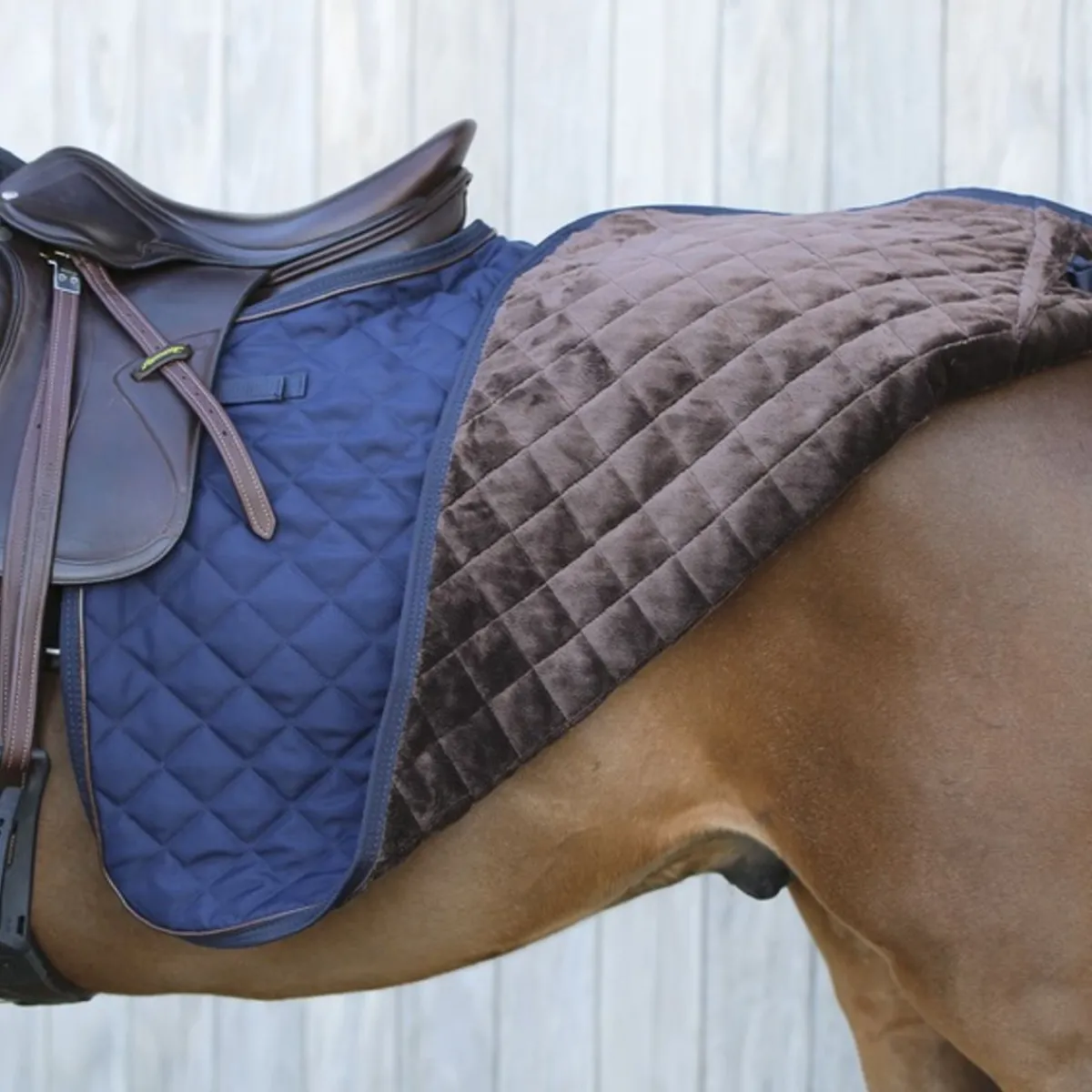 Kentucky Quarter Rug 160gr< Ridedekken