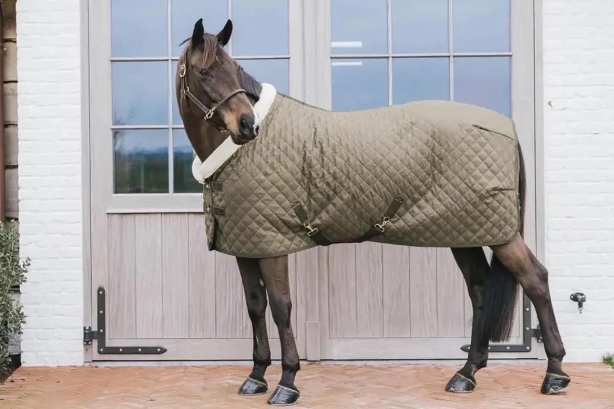 Kentucky Show Rug - Khaki Green< Ridedekken