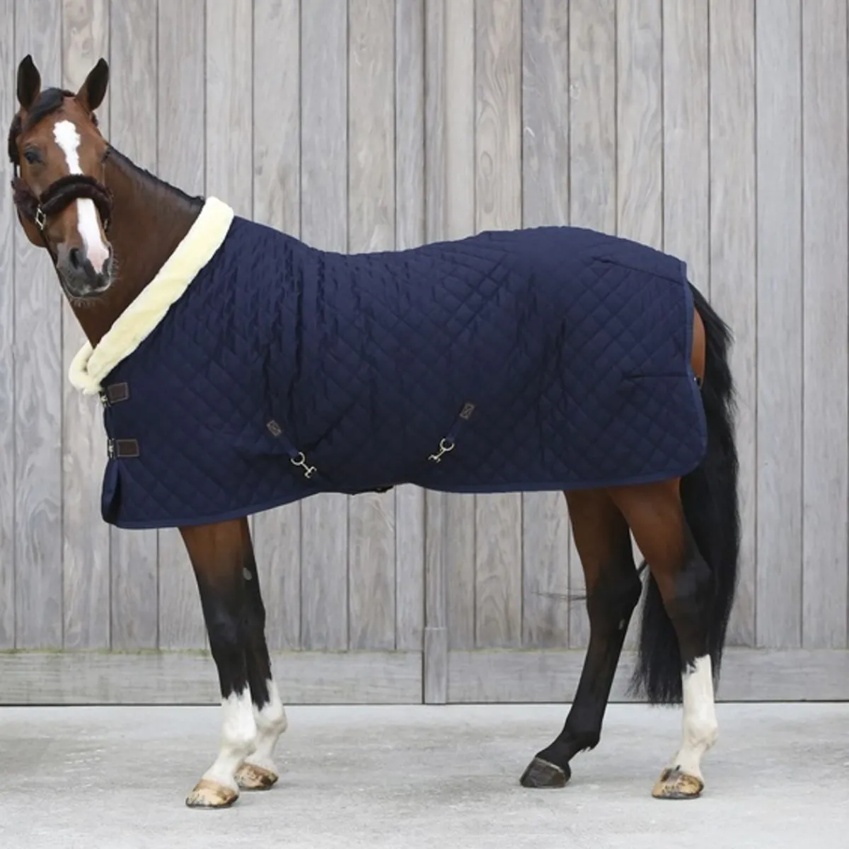 Kentucky Show Rug 160gr< Ridedekken