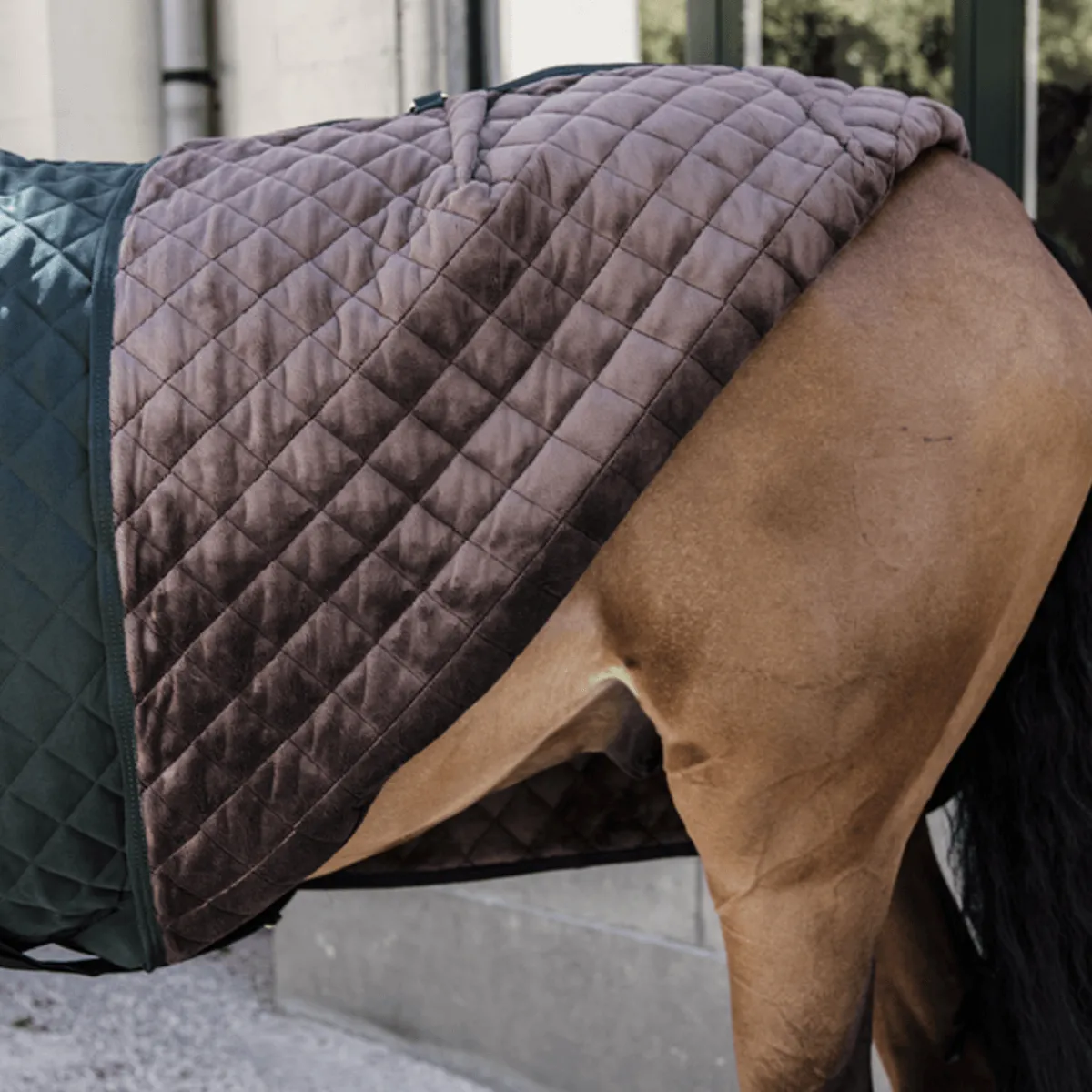 Kentucky Show Rug 160gr< Ridedekken