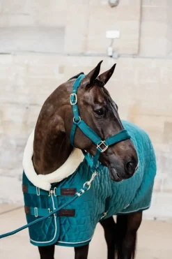 Kentucky Show Rug Velvet -< Ridedekken