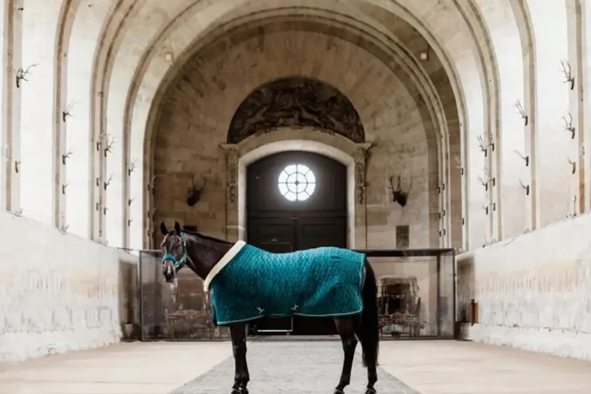 Kentucky Show Rug Velvet -< Ridedekken