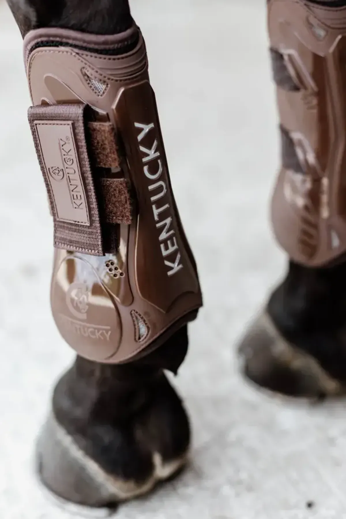 Kentucky Tendon Boots Velcro< Belegg