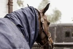 Kentucky Waterproof Scarf< Tilbehør Til Dekken
