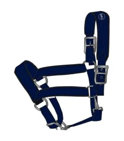 Kingsland Brandy Grime< Nylongrimer