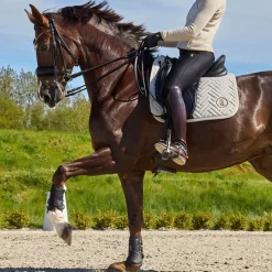 Kingsland KLNexus Dressur Schabrak< Dressur Schabraker