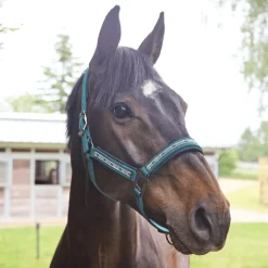 Kingsland KLNora Grimesett< Nylongrimer