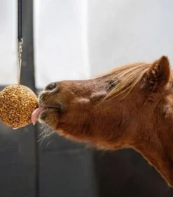 Likit Granola Stall ball< Hestesnacks