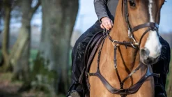 LeMieux LM Stormwear Chaps< Rideklær Unisex