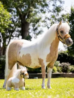 LeMieux LM Toy Pony Lemon< Kjepp Og Hobbyhest