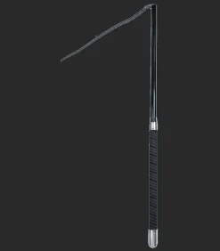 Waldhausen Longepisk Teleskop< Longeringspisker