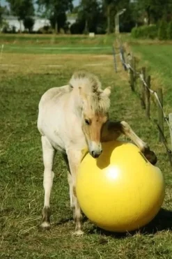 Heimer Maximus lekeball 75cm< Hesteleker