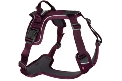 Non-stop Dogwear Ramble Harness Hundesele - Purple< Hund