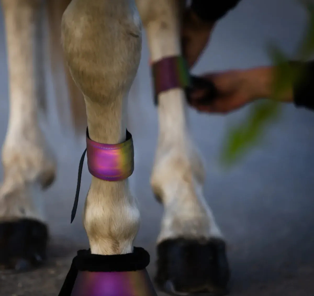 Heimer Rainbow Beinrefleks m/spenne< Refleks