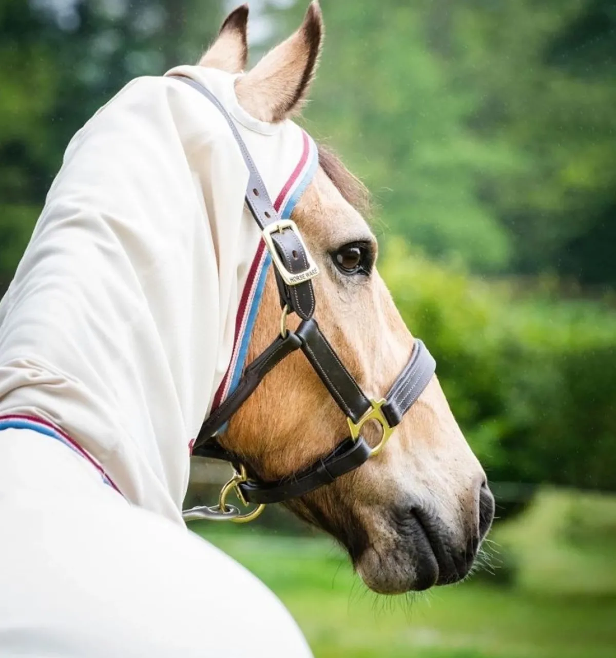 Horseware Ireland Rambo Hoodie Ponni 0gr< Insektsdekken