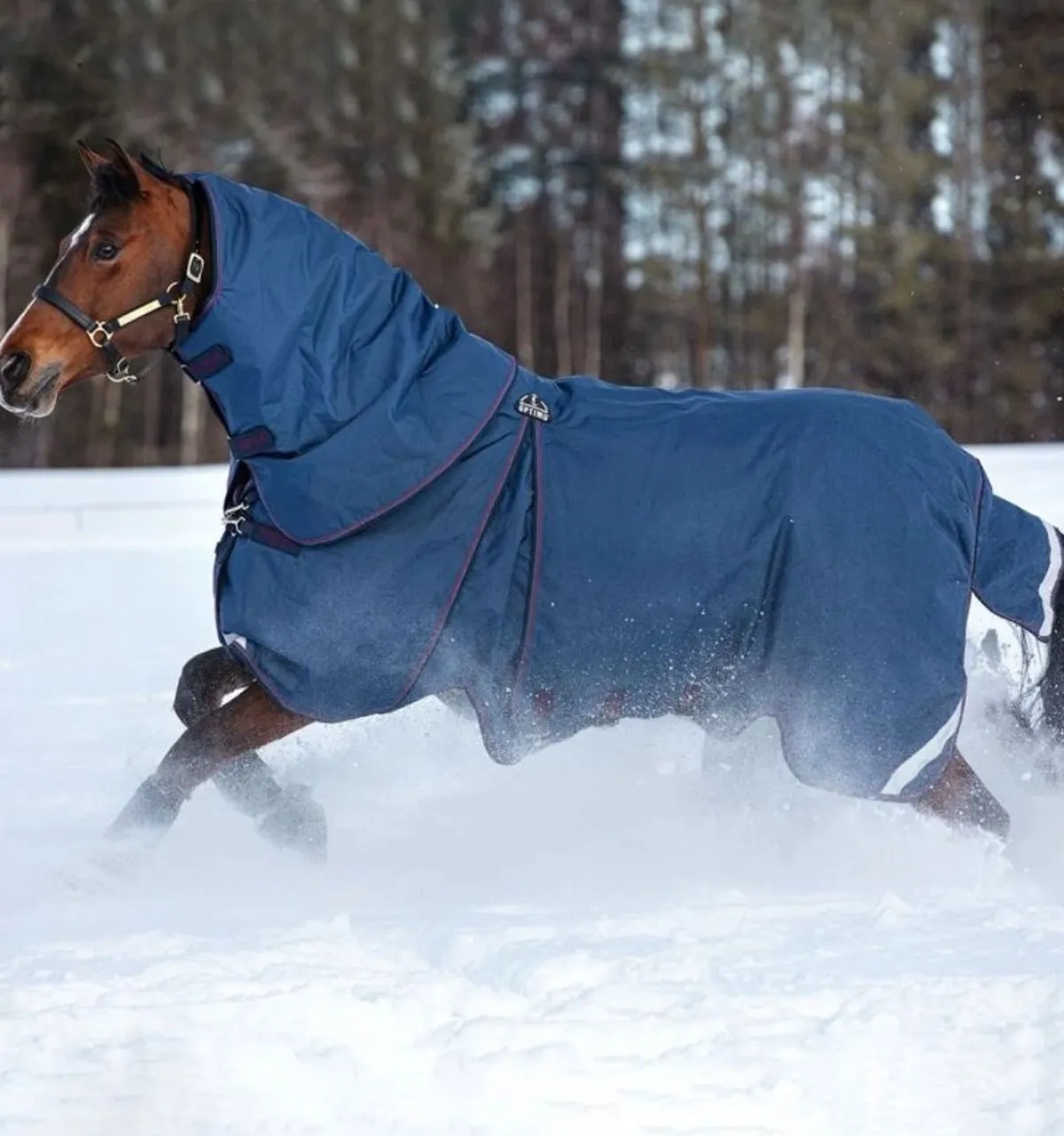 Horseware Ireland Rambo Optimo Plus bundle< Regndekken