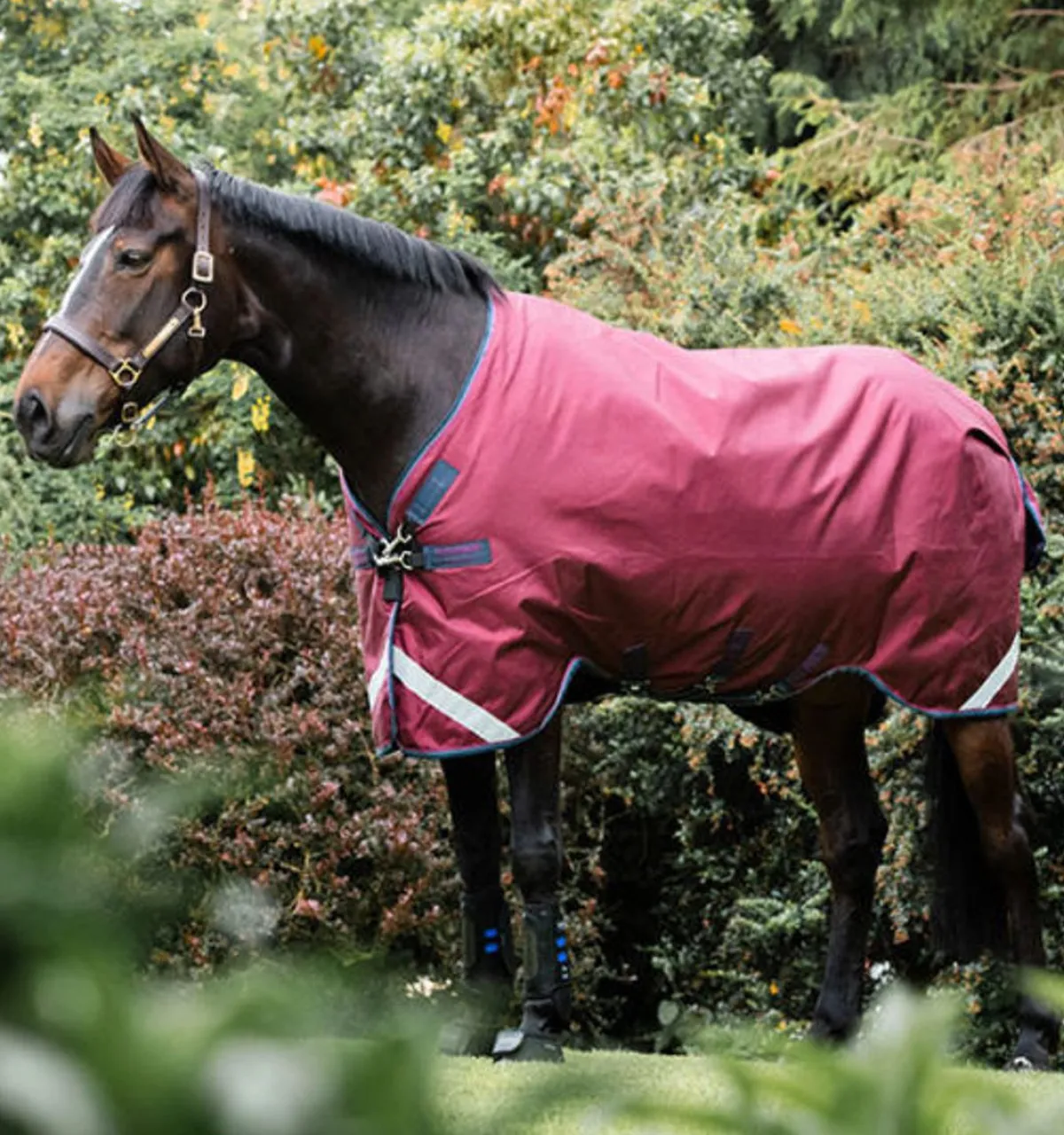 Horseware Ireland Rambo Original With Leg Arches 0g< Regndekken