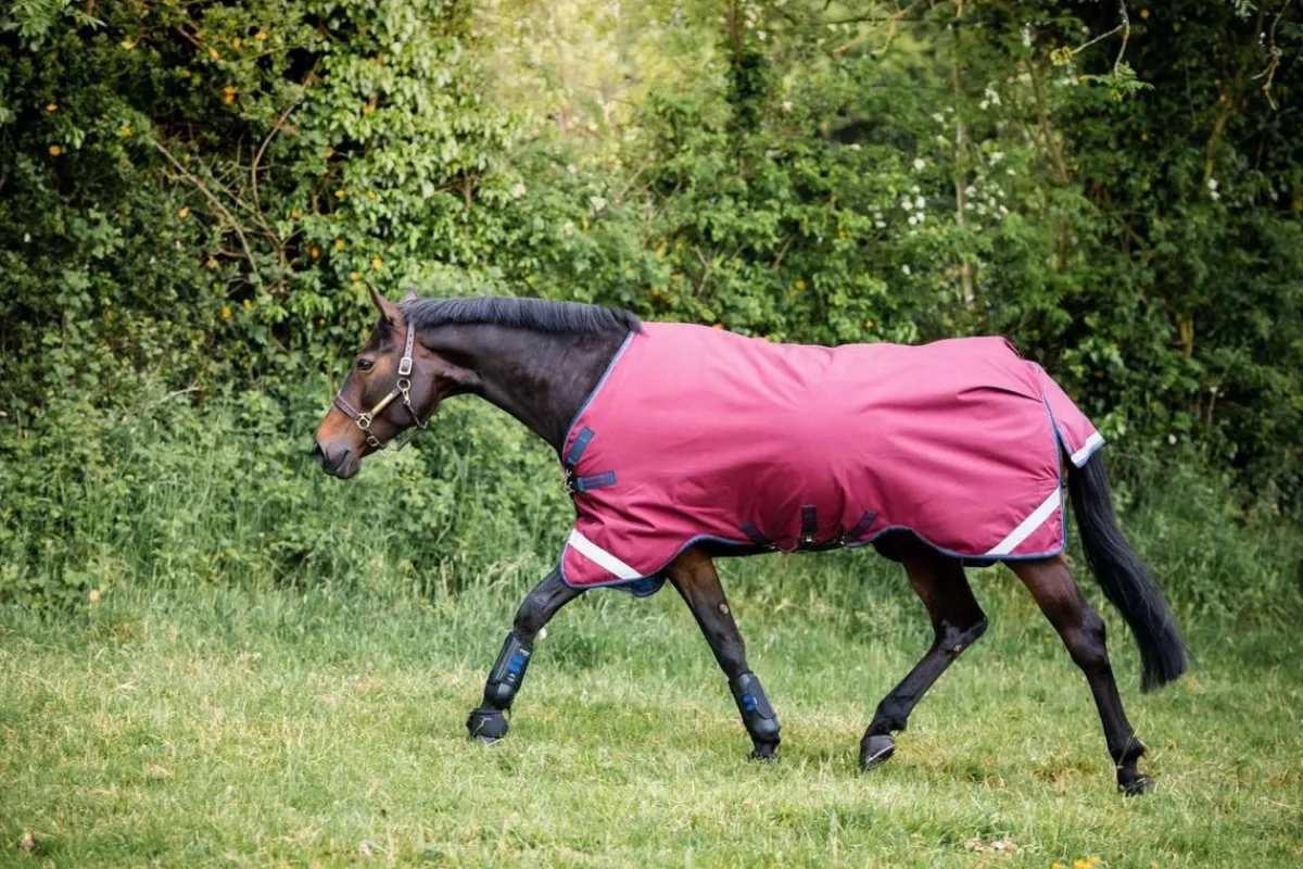 Horseware Ireland Rambo Original With Leg Arches 0g< Regndekken