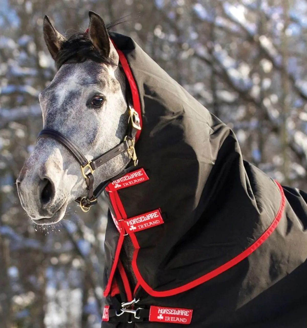 Horseware Ireland Rambo Supreme Hals 250g - Sort/rød< Tilbehør Til Dekken