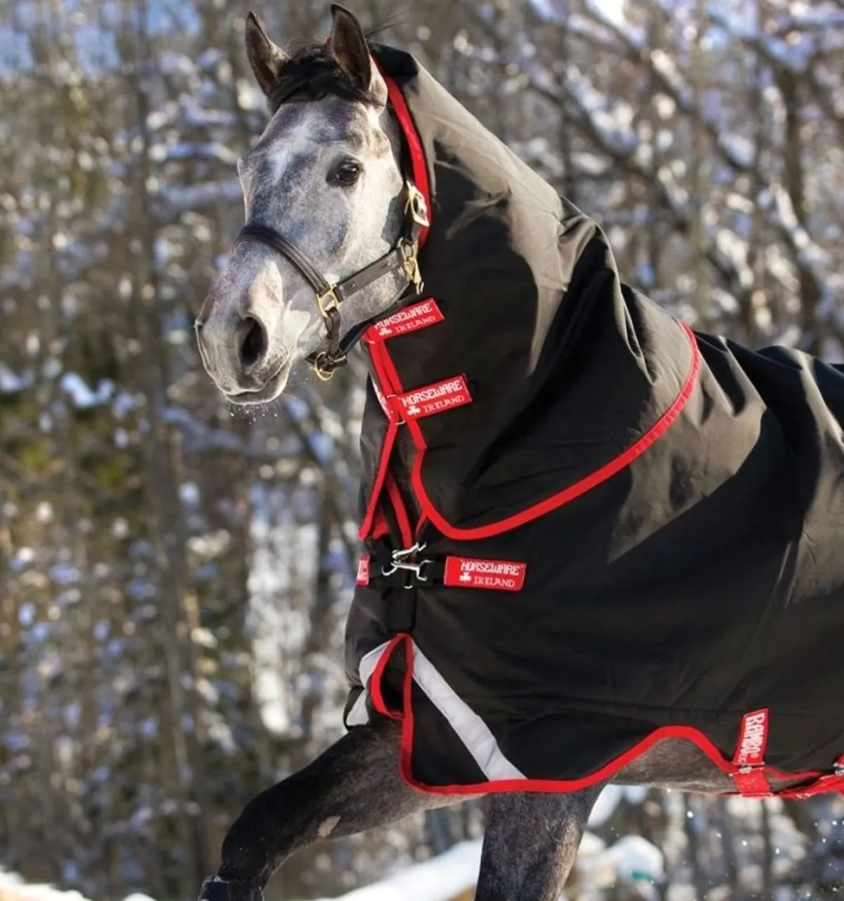 Horseware Ireland Rambo Supreme Vari-Layer Heavy 450g< Regndekken