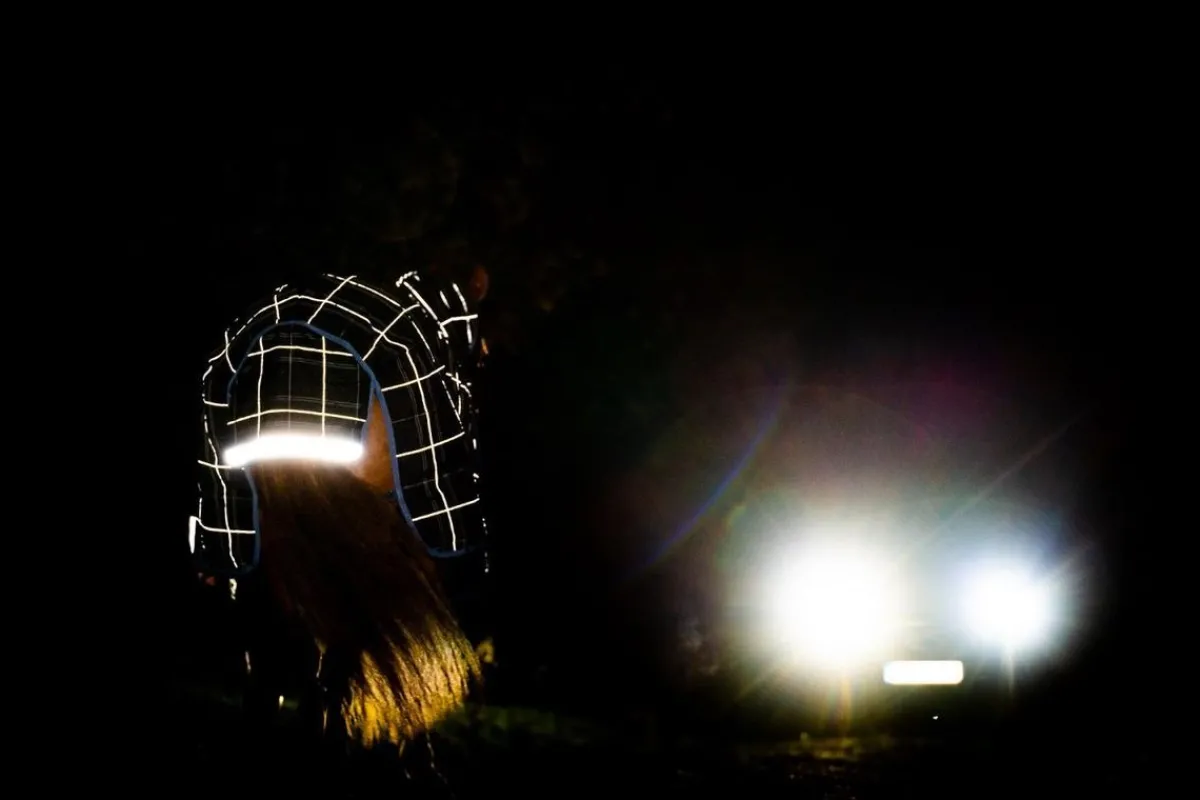 Horseware Ireland Rhino Plus Reflectech m/Vari-Layer 250g< Regndekken