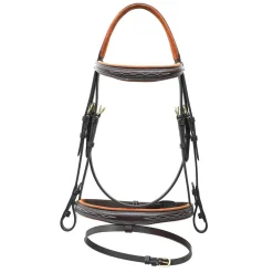 Skoies SE Praha hodelag< Hodelag