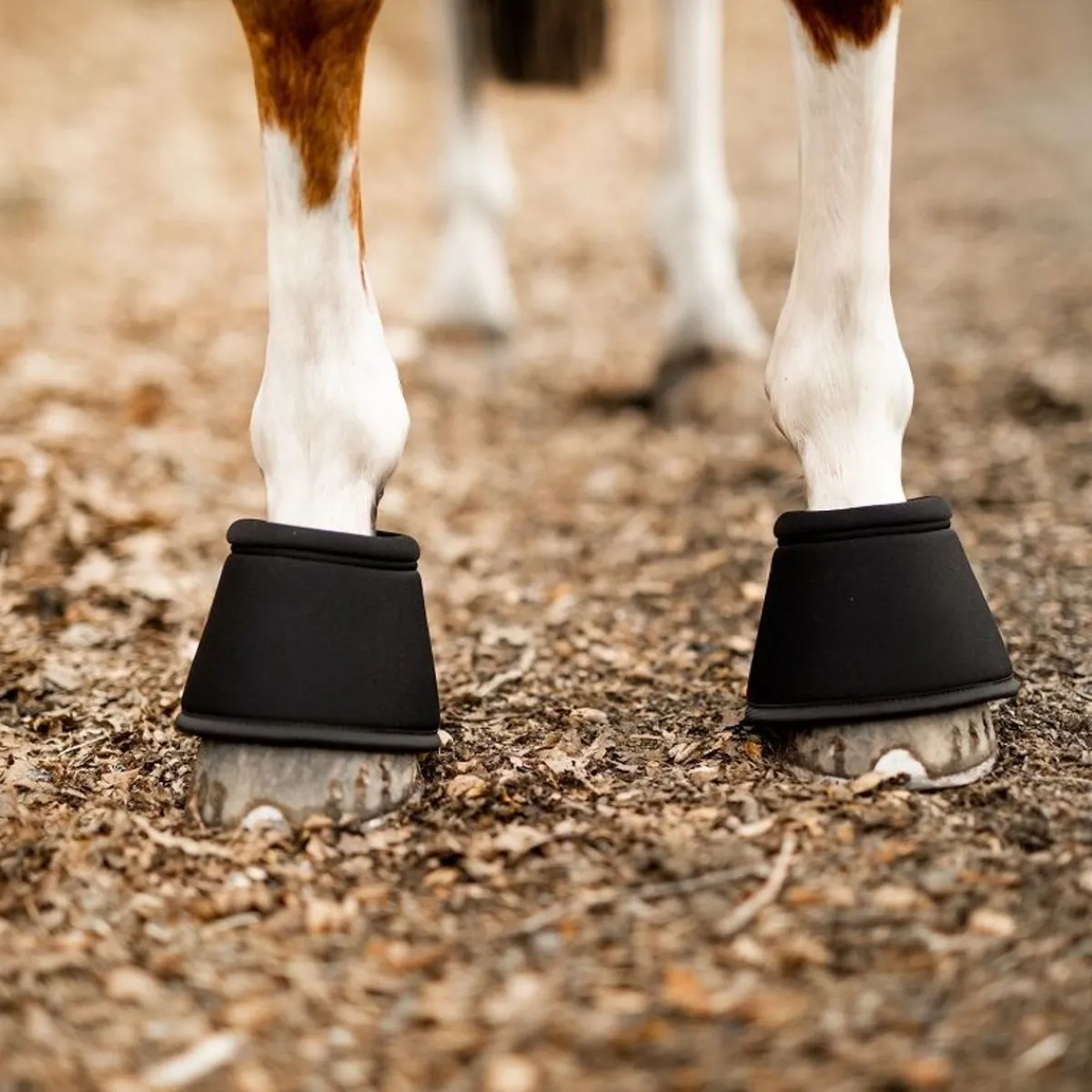 Skoies Bell Boots i Neopren< Belegg