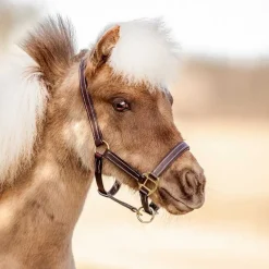 Skoies premium føllgrime i lær - Brun< Lærgrimer