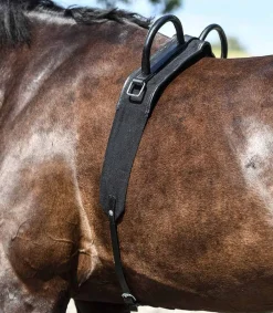 Skoies Ridegjord m/håndtak< Longering