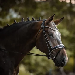 Skoies rundsydd dressurtøyler 16mm< Tøyler