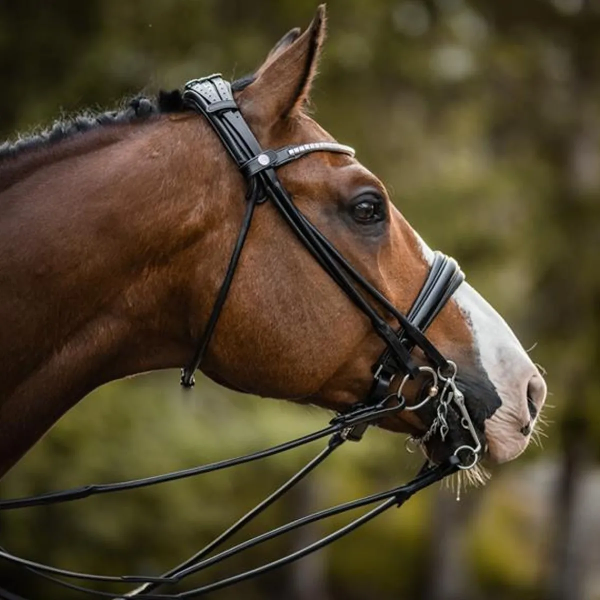Skoies rundsydd kandartøyle 12mm< Tøyler