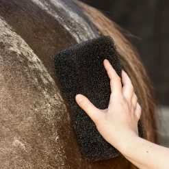 QHP Super Shiner Svamp< Tilbehør Til Striglekassen