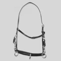 Top Reiter Caveson Longeringshodelag< Longering