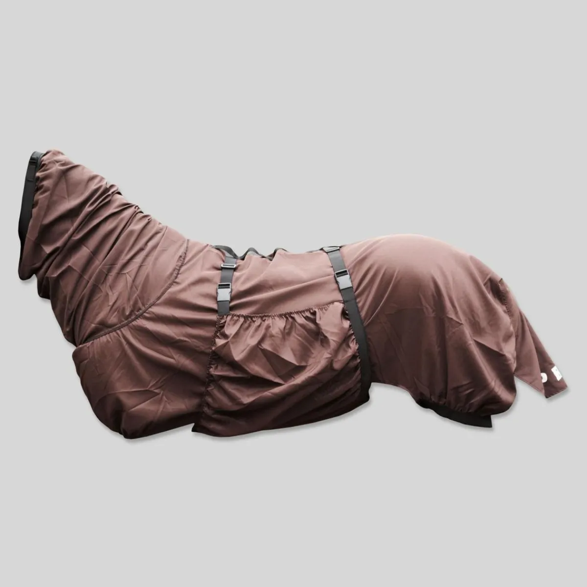 Top Reiter eksemdekken< Insektsdekken