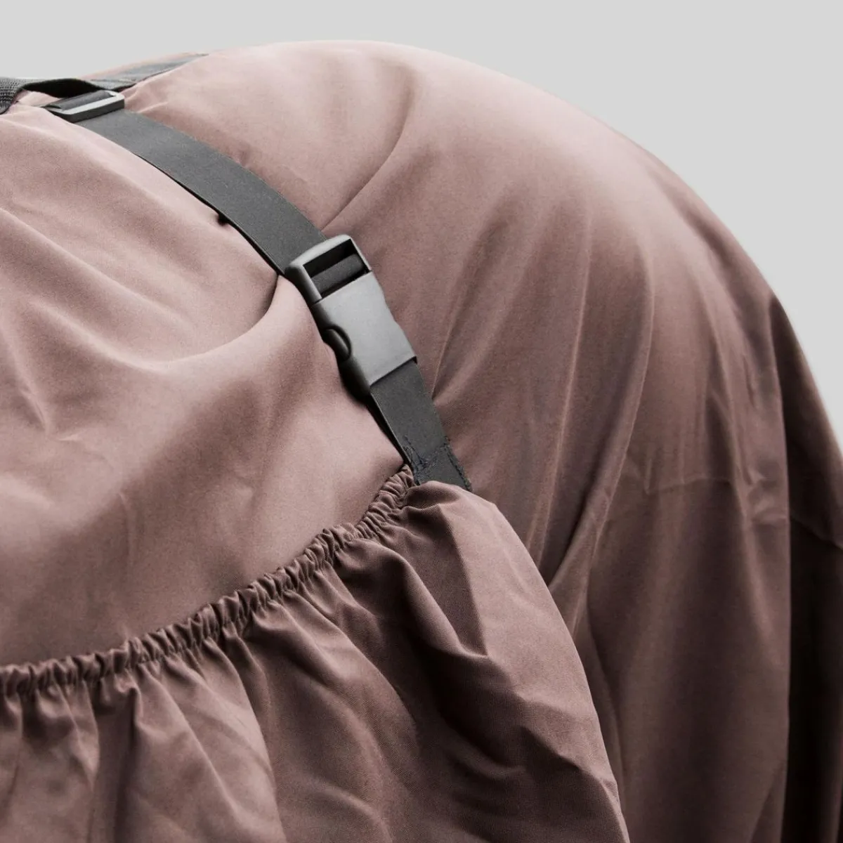 Top Reiter eksemdekken< Insektsdekken