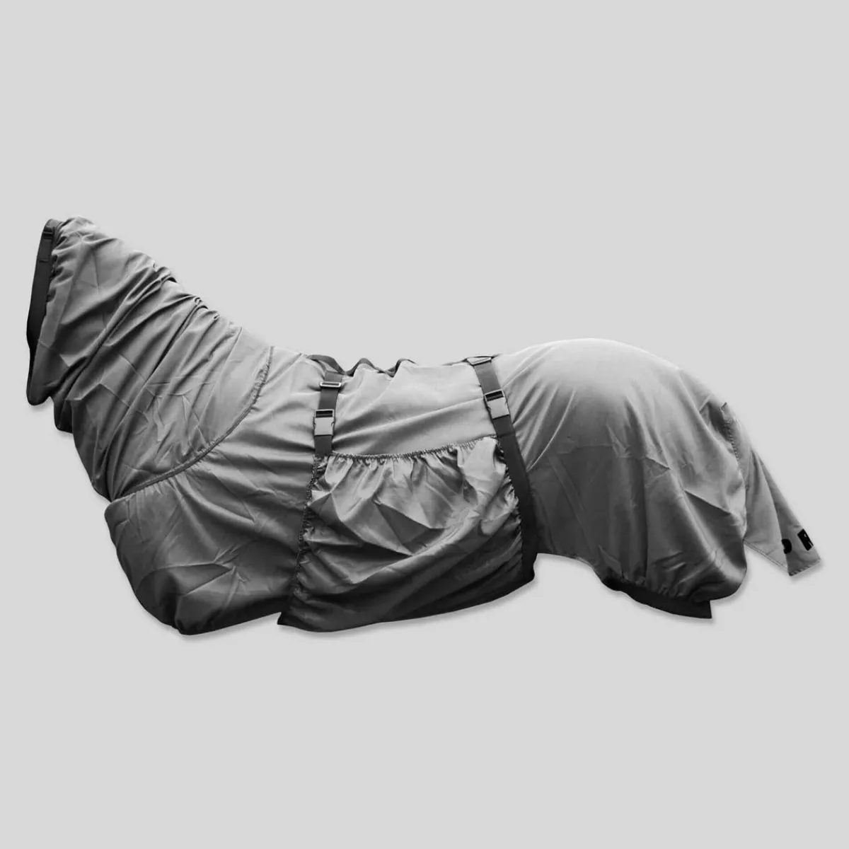 Top Reiter eksemdekken< Insektsdekken