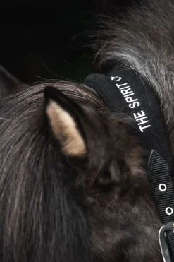 Top Reiter Klaki Grimesett til Islandshest< Nylongrimer