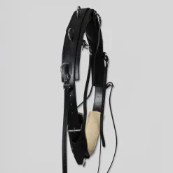 Top Reiter Longeringsgjord< Longering