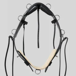 Top Reiter Longeringsgjord< Longering