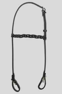 Top Reiter Nakkereim Fletta< Islandshest Hodelag