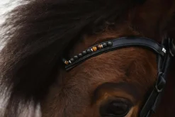 Top Reiter Orka Nakkereim< Islandshest Hodelag