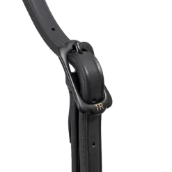 Top Reiter Orka nesereim< Islandshest Hodelag